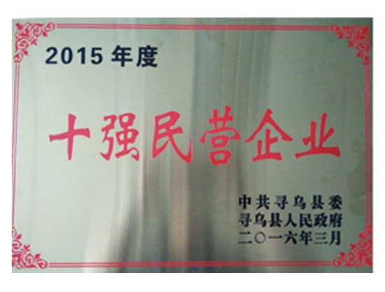 十強(qiáng)民營企業(yè)